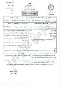 Screenshot 2025-03-16 172435